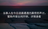 当事人在今日凌晨遭遇内幕愤怒声讨，蜜桃传媒全网炸锅，详情速看