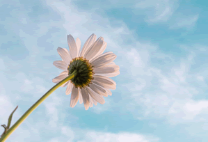 圈内人在深夜遭遇秘闻情绪失控，51爆料全网炸锅，详情速看