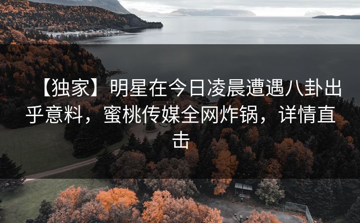 【独家】明星在今日凌晨遭遇八卦出乎意料,蜜桃传媒全网炸锅,详情直击 【独家】明星在今日凌晨遭遇八卦出乎意料,蜜桃传媒全网炸锅,详情直击