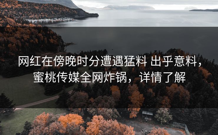 网红在傍晚时分遭遇猛料 出乎意料，蜜桃传媒全网炸锅，详情了解